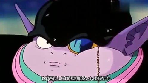 吃瓜综艺动画,揭秘热门综艺幕后故事