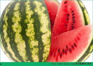 吃瓜总网,网络舆论场中的“瓜田”风云