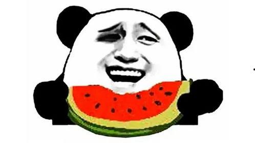 吃饭还吃瓜,品味美食，畅谈人生