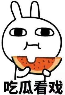 吃瓜看戏打架,揭秘娱乐圈幕后风云