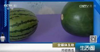 路边吃瓜不吐籽