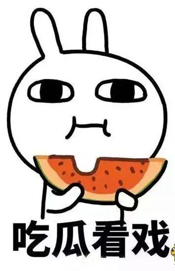 吃瓜的锤锤,吃瓜群众锤锤揭秘娱乐圈幕后真相