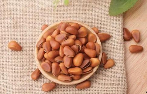 ted吃瓜的松子,揭秘“吃瓜群众”背后的松子智慧