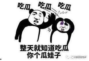 终于等到你吃瓜,吃瓜盛宴大幕拉开！