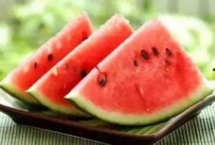 大早上都吃瓜,揭秘大早上吃瓜的奇妙体验