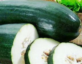 吃瓜吃累了图片