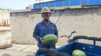 形容吃瓜群众开心的样子,吃瓜群众欢乐瞬间